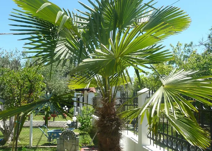 Kallikratia Flat 1 * Nea Kallikrateia